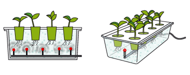 Аэропоника